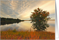 Evening at the lake, scotland card