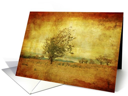 Lonely tree, grungy blank card (743444)