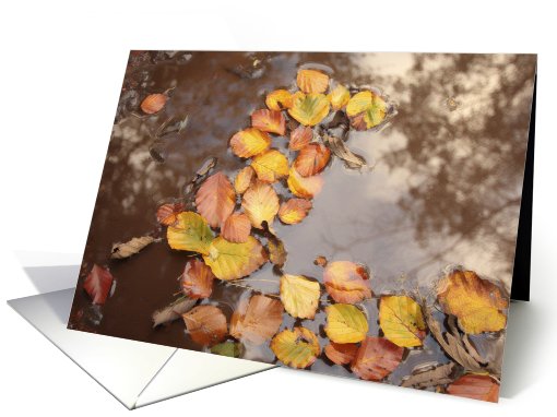 Fall leaves in water, blank card (743447)