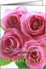 Congratulations on your wedding, pink roses card