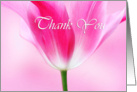 Lovely pink tulip, thank you, general card