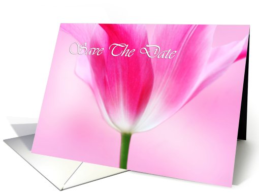 Lovely pink tulip, Save the date card (754434)