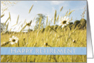 Summer meadow with daisies, Happy Retirement card