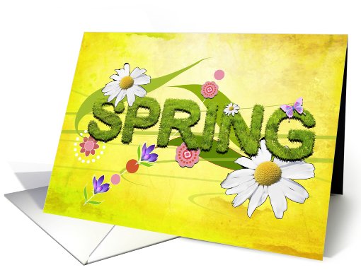 Spring time with daisies, blank card (754537)