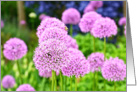 Purple flowers, blank card