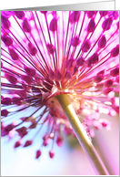 Purple spring flower, blank card