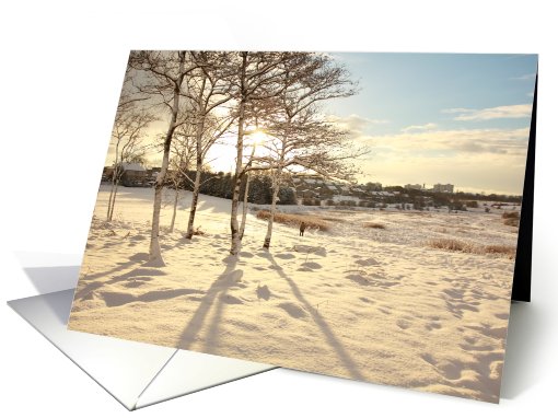 Winter landscape, blank card (759589)
