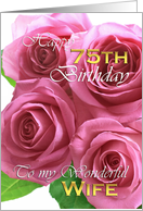 Beautiful Roses 75th birthday for my wonderful wife card