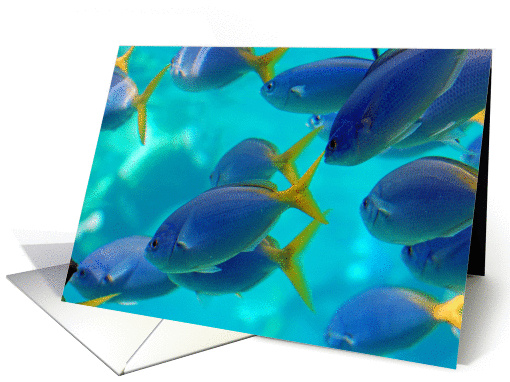 Get Well Soon card (410666)