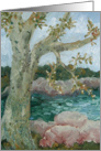 Spring by the Lake card