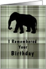 Birthday for Roommate, Green Plaid with Elephant card