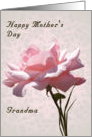 Mother’s Day for Grandma with Pink Rose card