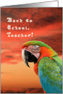 Back to School for Teacher, Colorful Parrot card