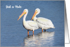 Just a Note with Two White Pelicans card