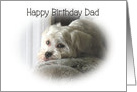 Birthday for Mike Dog’s Image card