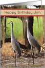Birthday With Sand Hill Cranes card
