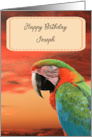 Birthday for Brother with Parrot card