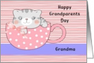 Grandparent’s Day for Grandma with Cat card