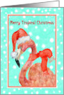 Tropical Christmas with Flamingo card