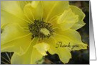 Cactus Flower in Yellow, Thank You for Hospitality card