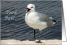Good bye journey Laughing Gull card