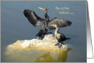 Return Home to Wife, Cormorants card