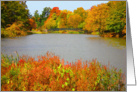 Thanksgiving, Scene of Small Pond, Fall Colors, for Neighbor card