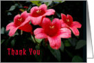 Thank you, Neighbor Red Flowers card