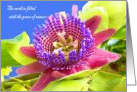 Engagement Congratulations, Passionflower card