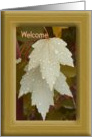 Welcome Home from Boot Camp, Beige Leaves & Water Droplets card