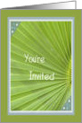 Invitation, Brunch, Green Palm Leaf, Blue Framing card