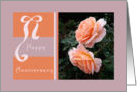 Anniversary, 50th, Peach Roses, card