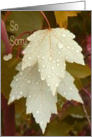 Sympathy Dog with Beige Leaves and Water Droplets card