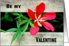 Valentine Wild Hibiscus in Red for a Person you Love card