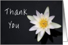 Thank You, for Bridesmaid’s Gift, White Water Lily card