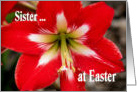 Easter Greetings for Sister with Red Lily card