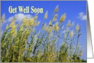 Get Well Soon, Nasty Bug, Nature Grasses card