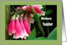 Teacher Appreciation Day, History, Pink Orchids card