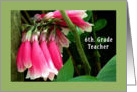 Teacher Appreciation Day, 6th Grade, Pink Orchids card