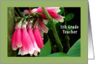 Teacher Appreciation Day, 5th Grade, Pink Orchids card