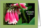 Teacher Appreciation Day, 4th Grade, Pink Orchids card