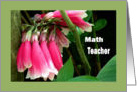 Teacher Appreciation Day, Math, Pink Orchids card