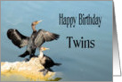 Birthday for Twins, Two Cormorants card
