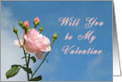 Be My Valentine? Pink Rose card