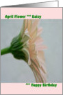 April Birthday with Monthly Flower, Lt Pink Gerber Daisy card