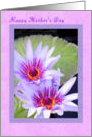 Mother’s Day Card for Mom, Lavender with twin Water Lilies. card