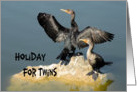 Holiday for Twins, Twin Cormorants in Nature card