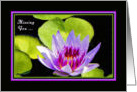 Missing You and Will See You Soon, Lavender Water Lily card