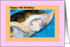 Birthday 14th with Logger Head Sea Turtle card