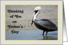 Father’s Day Card with Brown Pelican card